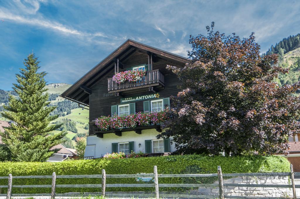 Ferienhaus Antonia Dorfgastein Bagian luar foto